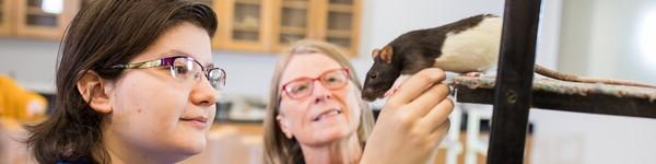 一位心理学专业的学生在实验室里和一只老鼠一起工作.